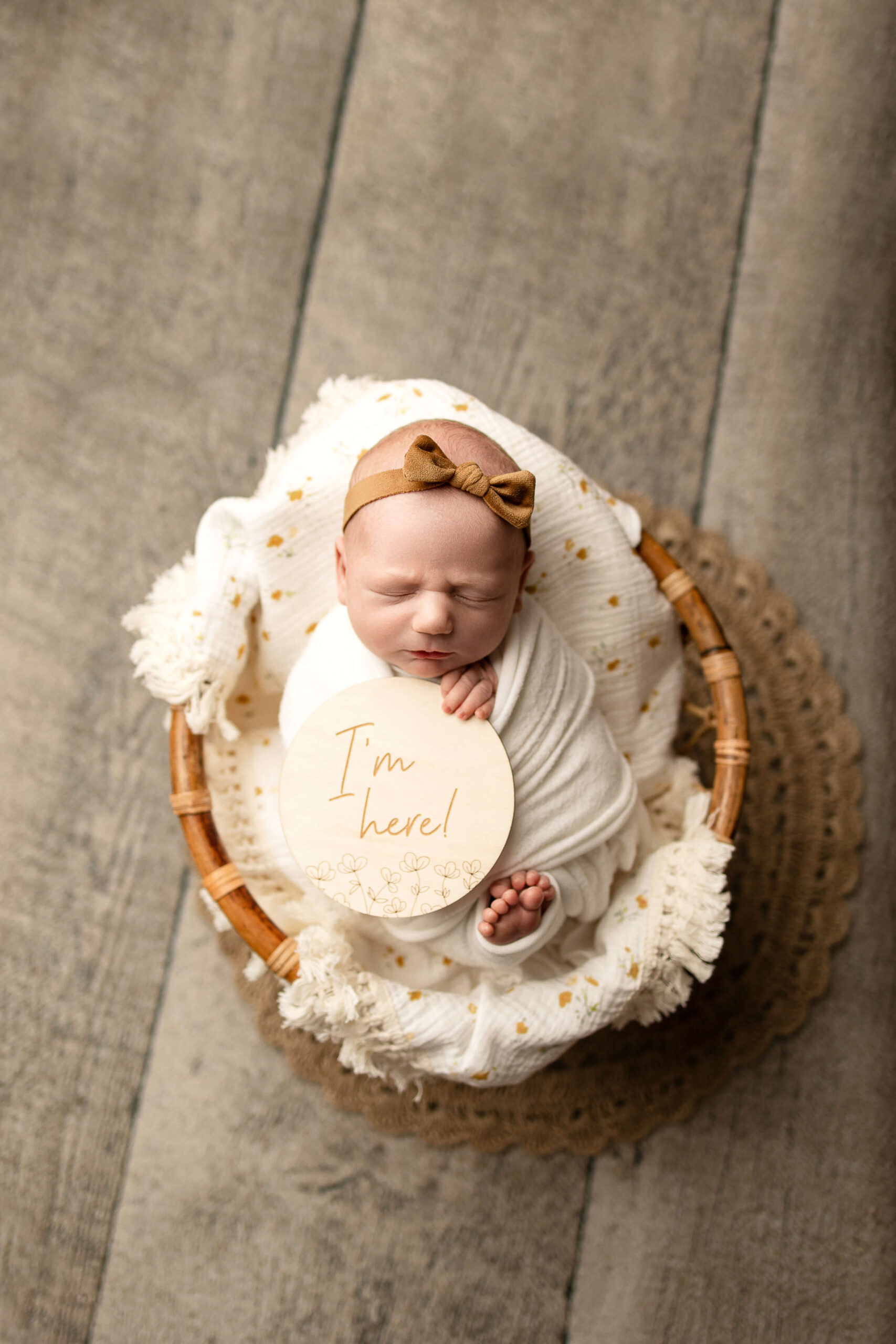 Posed Newborn Photography in Brookfield, WI