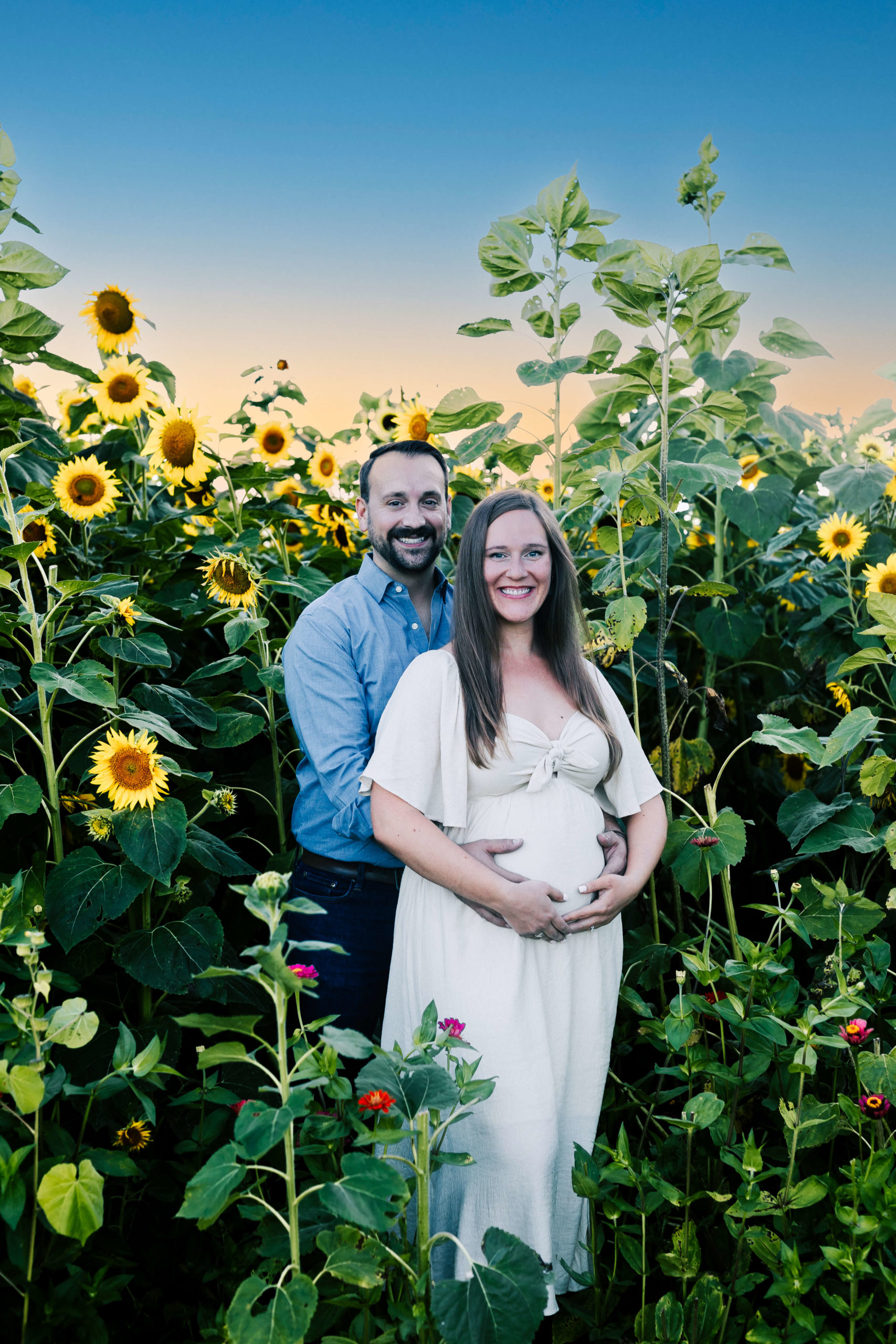 maternity photos taken at Lannon sunflower farm by a Milwaukee maternity photographer