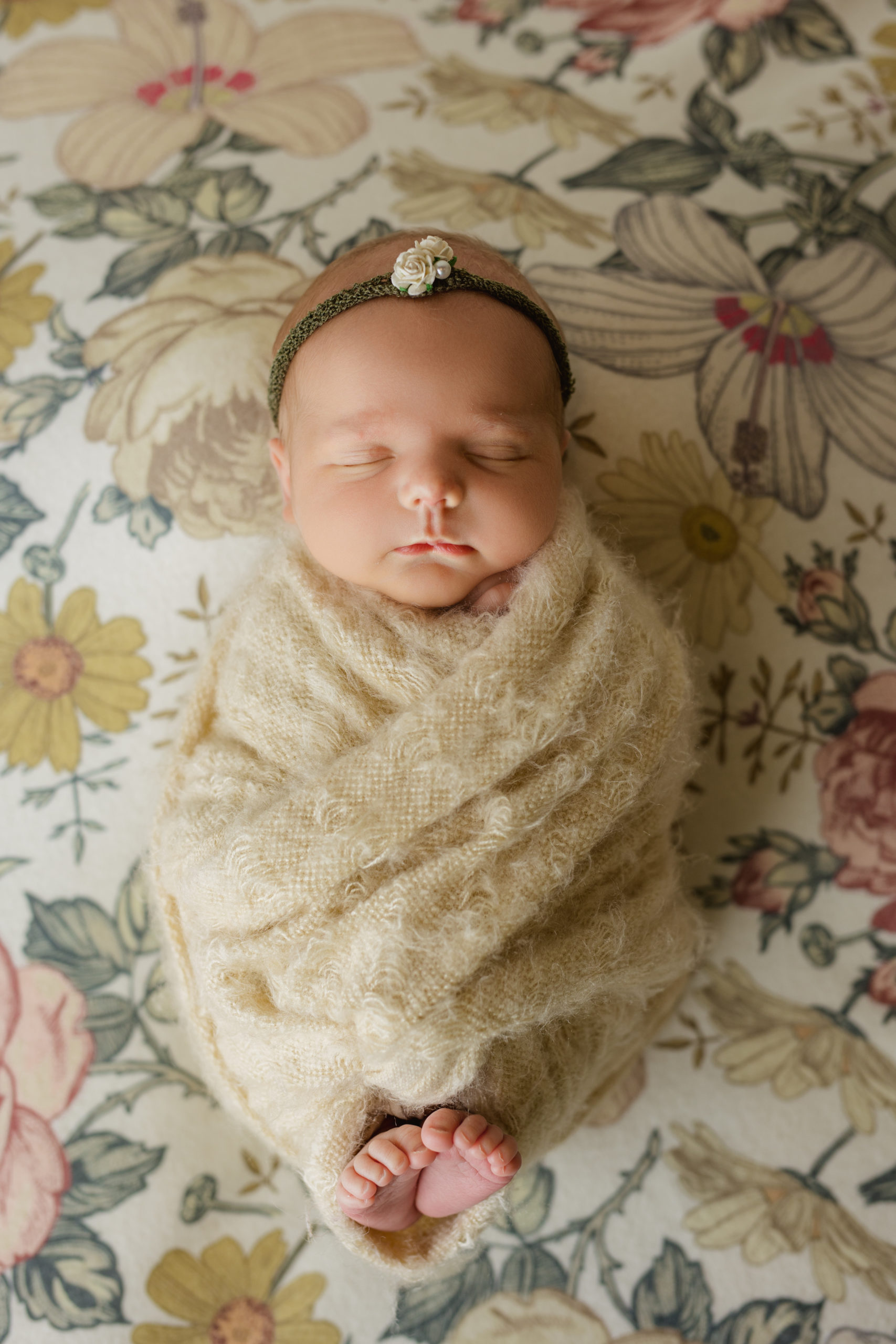 Milwaukee newborn photographer posing a newborn baby girl on a warm floral background